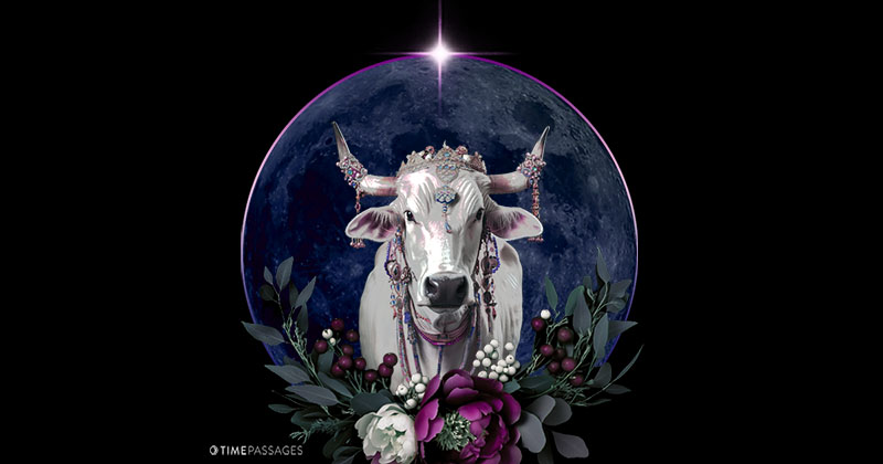 A Taurus New Moon of Anchoring Amidst Intensity