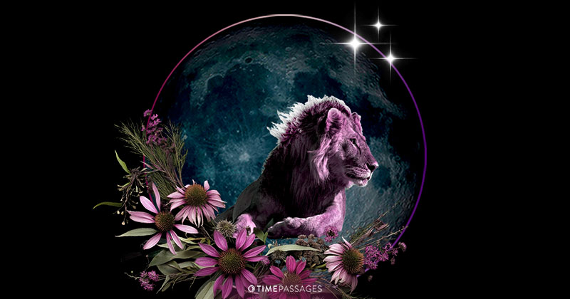 A Leo New Moon of Profound Change and Creativity