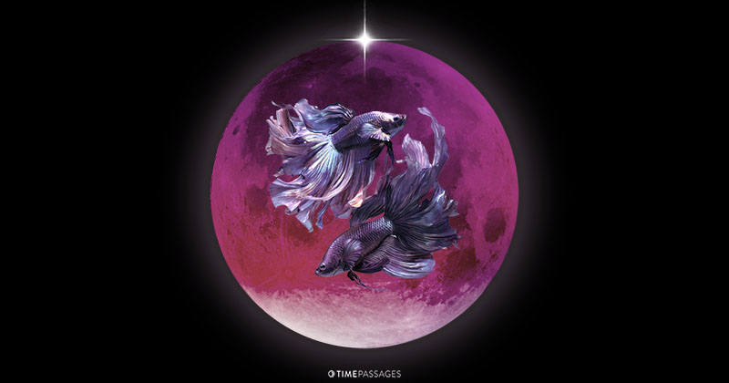 A Pisces Full Moon Eclipse of Trust and Interconnection