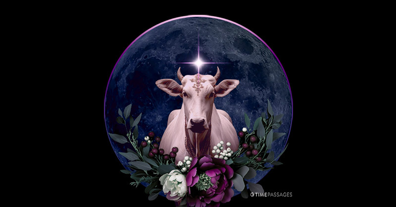 An Angsty and yet Thoughtful New Moon in Taurus 