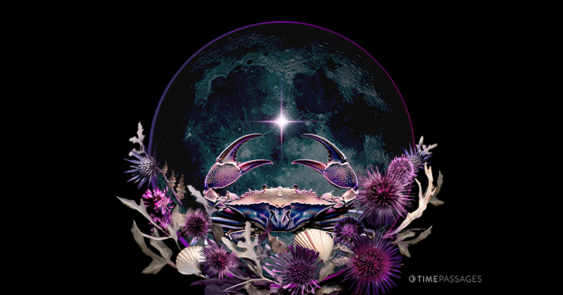 A New Moon of Strong Feelings, Introspection, Relationship Surprises, and Novel Beginnings