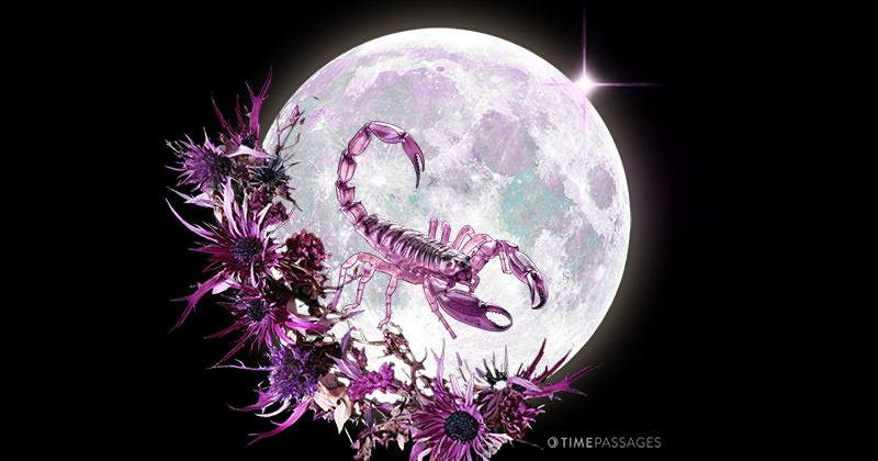 A Scorpio Full Moon of Taking Up the Challenge
