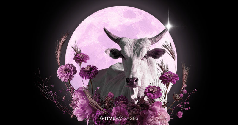 Full Moon in Taurus: Tending the Wound, Reclaiming Our Worth